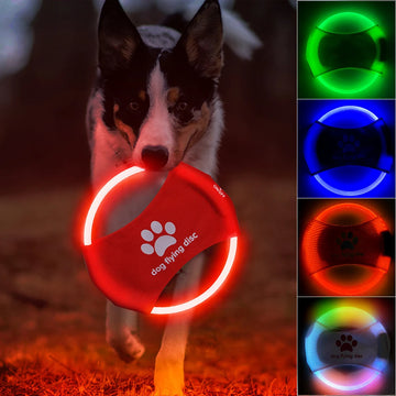 PawFlyer™ Luminous Dog Toy